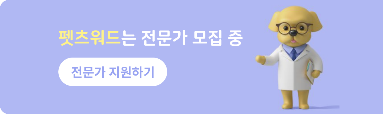 펫츠워드 전문가지원하기